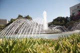 Serene Fountain in a Green Haven