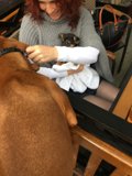 Cozy afternoon with my furry friend