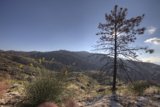 Solitude on the Hill