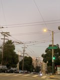 Urban Jungle
