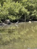 In the Calm Waters