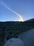 Sunset over the Vineyard