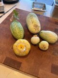 A Bounty of Garden Harvest