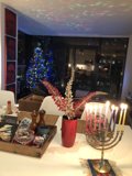 Festive Table Decorations