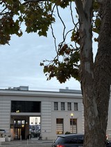 Autumn Tree Before Modern White Building