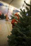 Magical Christmas Eve with Wesley: 2023