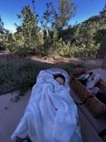 Sweet Dreams on a Sunny Day