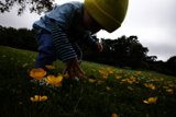 Blooming Adventure at San Francisco Botanical Garden