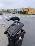 Urban Observer