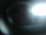 Shining Through the Darkness