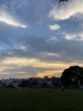 Kites and Colors at Sunset