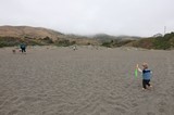 Toddler Explores Gray Sand Beach on Foggy Day