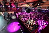 Massive Crowd Erupts at Wobbleland 2026 Festival