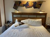 Cozy Accommodations