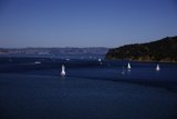 Sailing Serenity in the Scenic Bay