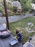 Backyard Bubble Adventure