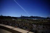 A Serene Stroll by the Golden Gate