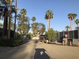 Urban Oasis