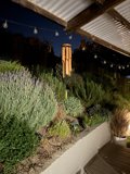 Tranquil Evening in the Garden