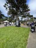 Tree of Life in San Francisco Botanical Garden