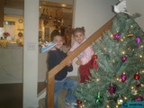 Holiday Joy