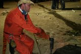 Orange Jumpsuit Worker