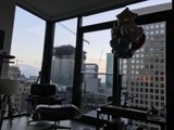 A Bird's Eye View
