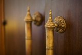 Brass Knobs on a Wooden Door