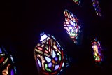 Beauty Illuminated