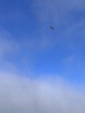 Flying High Above San Francisco