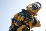 Bumblebee Bot