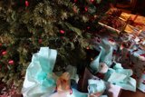Festive Fir