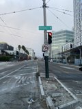 Intersection of the Urban Jungle