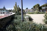 The Urban Oasis