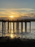 Golden Hour Pier