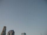 Birds Soaring Above Urban Jungle