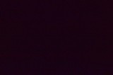 Near-Black Darkness at Wobbleland 2026 Festival