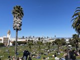 Palm Trees and Cityscape at Mission Dolores Park