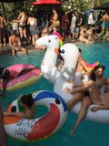 Inflatable Fun in the LA Sun