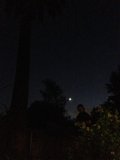 Night under the stars