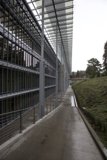 City Walkway with Glass Office Building