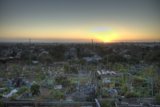 A Garden Amongst the Skyline