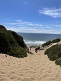 Path to the Ocean