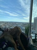 City Snuggles