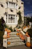 Spooky Spectacle in San Francisco