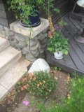 Rustic Charm