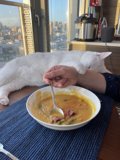 Soup and a Feline Companion