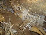 Cave Treats