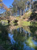 Peaceful Pond at Golden Gate Park