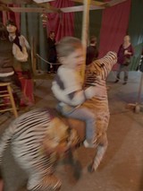 Child Riding Motion-Blurred Carousel Tiger